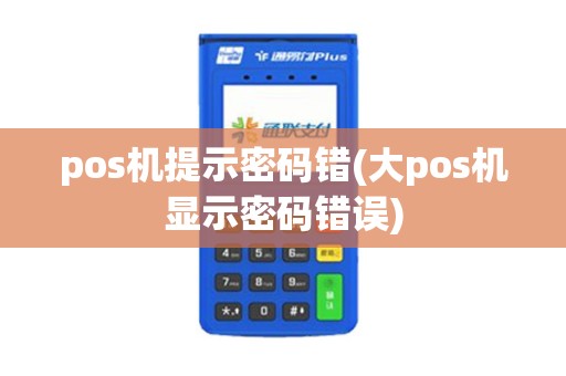 pos机提示密码错(大pos机显示密码错误)