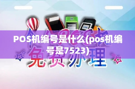 POS机编号是什么(pos机编号是7523)