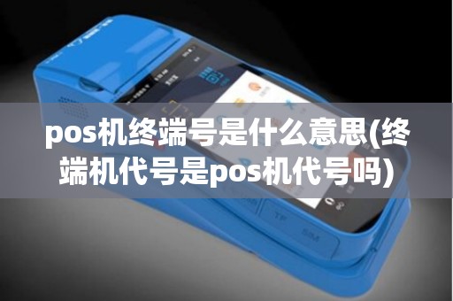 pos机终端号是什么意思(终端机代号是pos机代号吗)