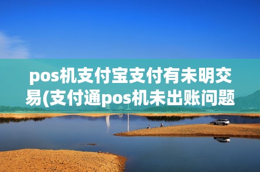 pos机支付宝支付有未明交易(支付通pos机未出账问题)