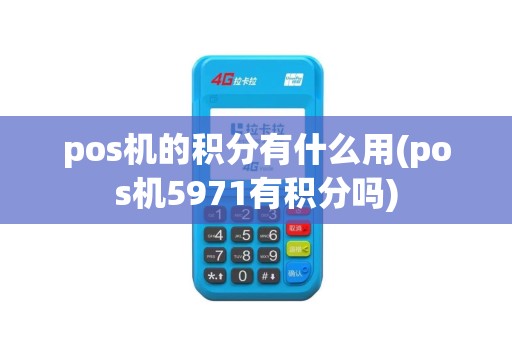 pos机的积分有什么用(pos机5971有积分吗)