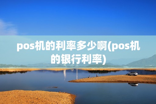 pos机的利率多少啊(pos机的银行利率)