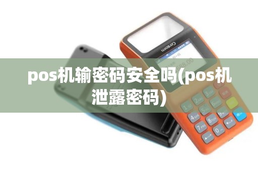 pos机输密码安全吗(pos机泄露密码)