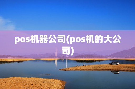 pos机器公司(pos机的大公司)