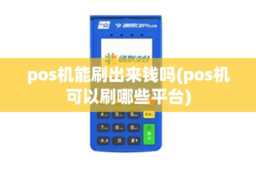 pos机能刷出来钱吗(pos机可以刷哪些平台)