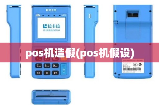 pos机造假(pos机假设)
