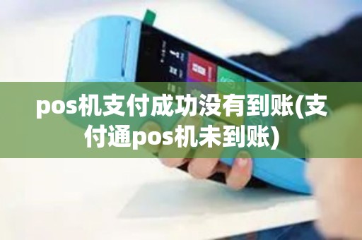 pos机支付成功没有到账(支付通pos机未到账)