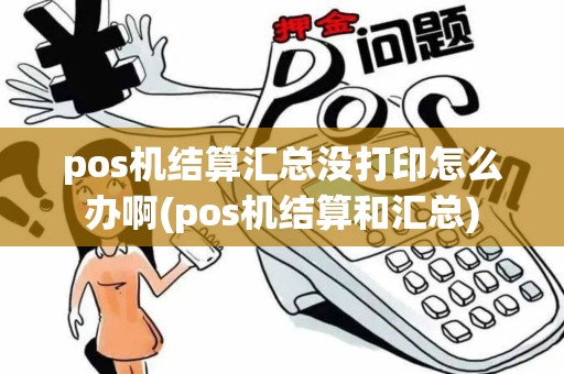 pos机结算汇总没打印怎么办啊(pos机结算和汇总)