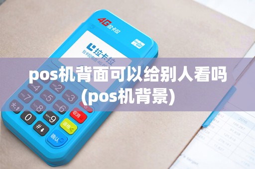 pos机背面可以给别人看吗(pos机背景)