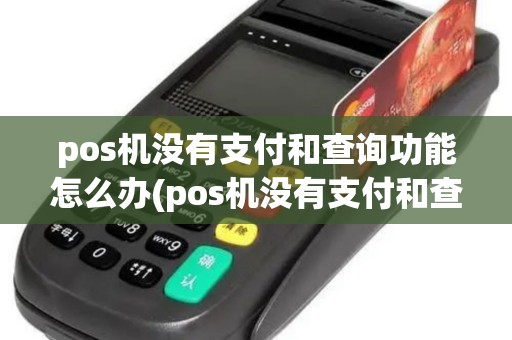 pos机没有支付和查询功能怎么办(pos机没有支付和查询功能)