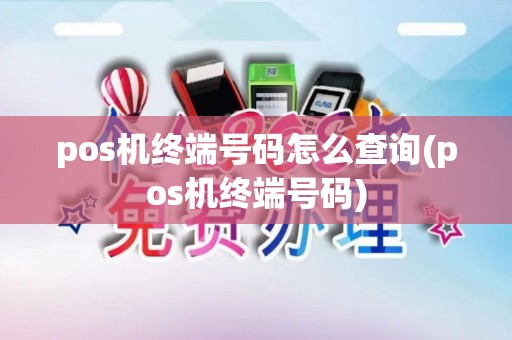 pos机终端号码怎么查询(pos机终端号码)