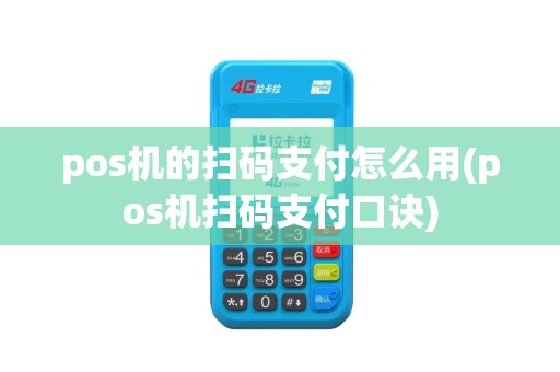 pos机的扫码支付怎么用(pos机扫码支付口诀)