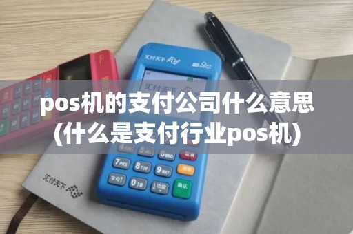 pos机的支付公司什么意思(什么是支付行业pos机)