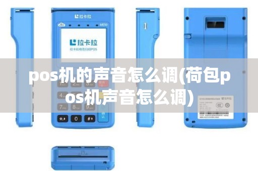pos机的声音怎么调(荷包pos机声音怎么调)