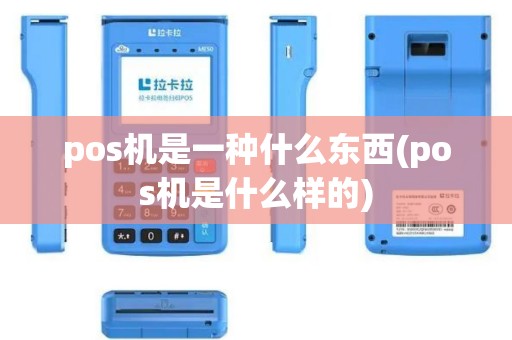 pos机是一种什么东西(pos机是什么样的)
