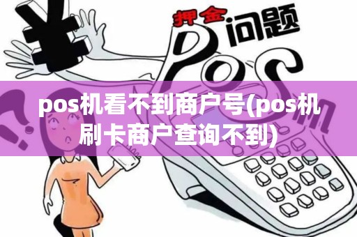 pos机看不到商户号(pos机刷卡商户查询不到)