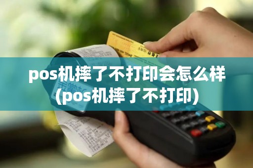 pos机摔了不打印会怎么样(pos机摔了不打印)