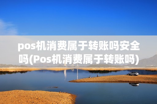 pos机消费属于转账吗安全吗(Pos机消费属于转账吗)