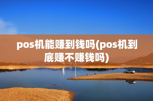 pos机能赚到钱吗(pos机到底赚不赚钱吗)