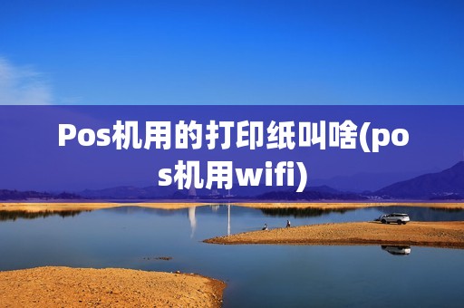 Pos机用的打印纸叫啥(pos机用wifi)