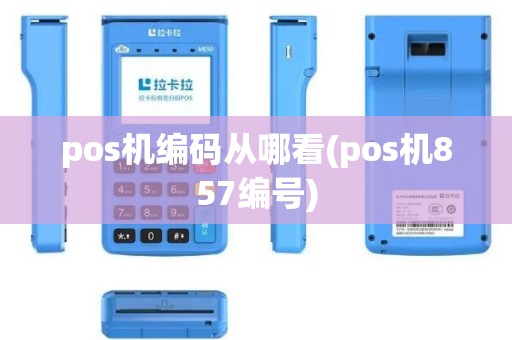 pos机编码从哪看(pos机857编号)