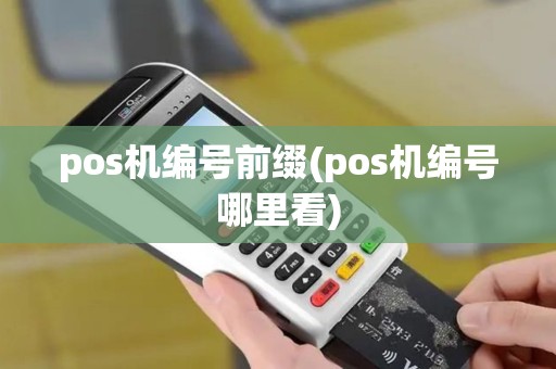 pos机编号前缀(pos机编号哪里看)
