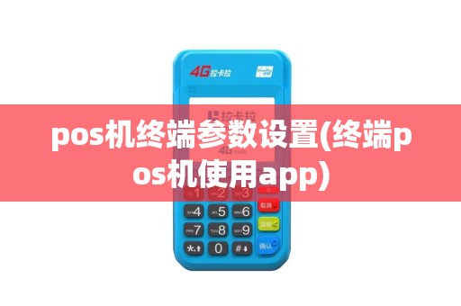 pos机终端参数设置(终端pos机使用app)