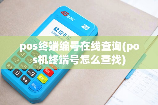 pos终端编号在线查询(pos机终端号怎么查找)