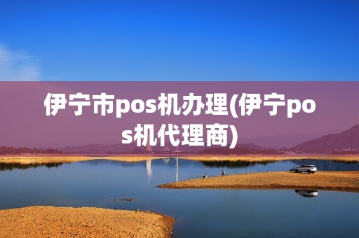 伊宁市pos机办理(伊宁pos机代理商)