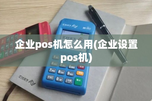 企业pos机怎么用(企业设置pos机)