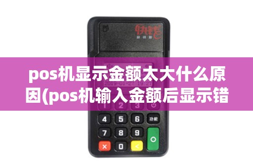 pos机显示金额太大什么原因(pos机输入金额后显示错误)