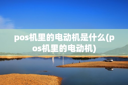 pos机里的电动机是什么(pos机里的电动机)