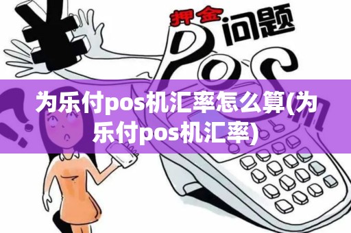 为乐付pos机汇率怎么算(为乐付pos机汇率)
