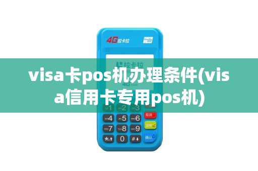 visa卡pos机办理条件(visa信用卡专用pos机)