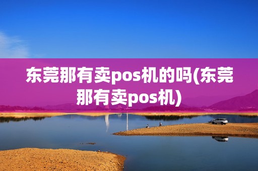 东莞那有卖pos机的吗(东莞那有卖pos机)