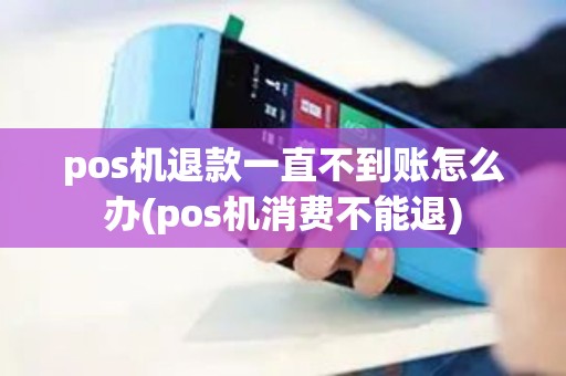 pos机退款一直不到账怎么办(pos机消费不能退)