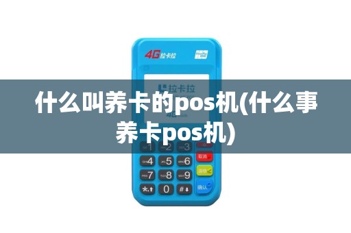 什么叫养卡的pos机(什么事养卡pos机)