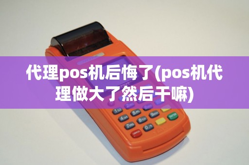 代理pos机后悔了(pos机代理做大了然后干嘛)