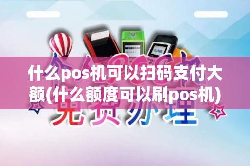 什么pos机可以扫码支付大额(什么额度可以刷pos机)