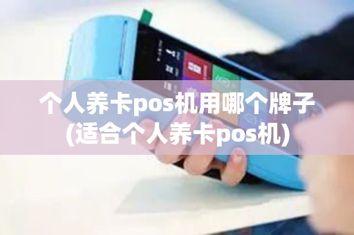 个人养卡pos机用哪个牌子(适合个人养卡pos机)