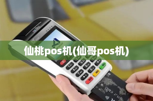仙桃pos机(仙哥pos机)