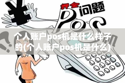 个人账户pos机是什么样子的(个人账户pos机是什么)
