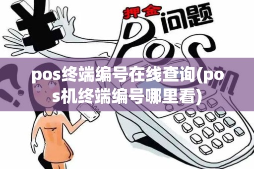pos终端编号在线查询(pos机终端编号哪里看)