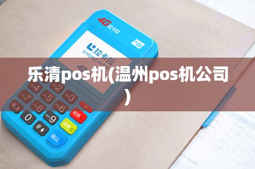 乐清pos机(温州pos机公司)