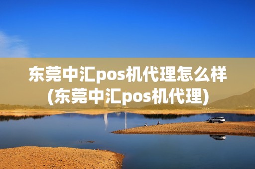 东莞中汇pos机代理怎么样(东莞中汇pos机代理)