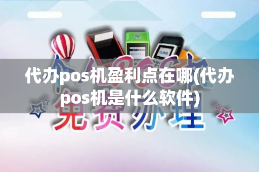 代办pos机盈利点在哪(代办pos机是什么软件)
