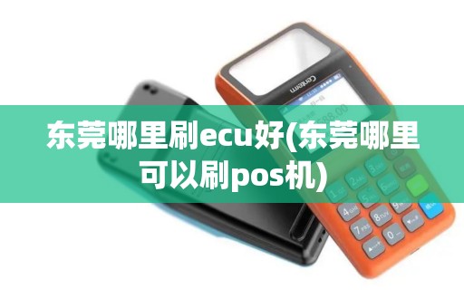 东莞哪里刷ecu好(东莞哪里可以刷pos机)