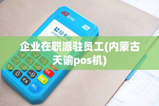 企业在职派驻员工(内蒙古天谕pos机)