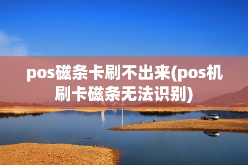 pos磁条卡刷不出来(pos机刷卡磁条无法识别)