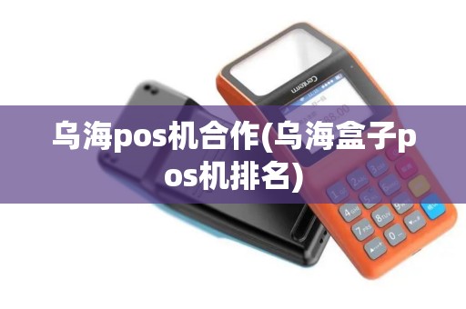 乌海pos机合作(乌海盒子pos机排名)